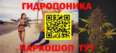 Альфа ПВП Будённовск
